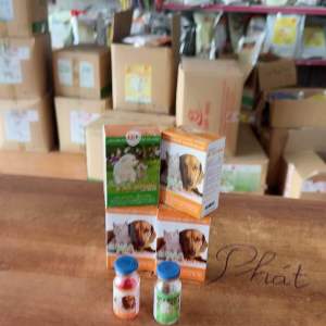 Hộp cặp đôi hoàn hảo cho chó mèo chuyên viêm phổi ho thở thể bụng kiết lỵ bại liệt