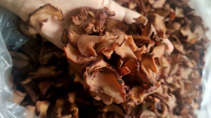 Asam Keping Asam Gelugor 500g