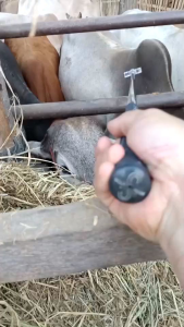 ไซริงค์แบบด้ามยาว ขนาด 10 ml ด้ามคาร์บอนไฟเบอร์  ความยาว 80-90 cm.