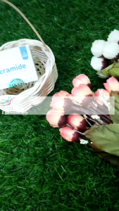 Skin Barrier Ceramide SR12: Bahan Alami untuk Kulit yang Sehat