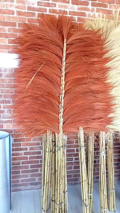 Rayung Hiasan Ruang Tamu Home Decor Bunga Kering Stick