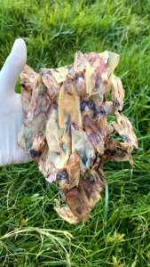 ปลาหมึกแห้งกะตอย