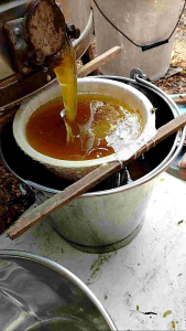 น้ําผึ้งดอกลําไย