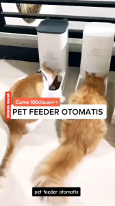 PET FEEDER OTOMATIS - TEMPAT MAKAN & MINUM KUCING 1 SET MODEL OVP KOTAK