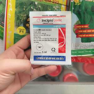 Thuốc Trừ Sâu Incipio 200SC 5ml Syngenta trừ sâu tơ sâu cuốn lá sâu đục thân bọ trĩ nhện đỏ Sản Phẩm Trừ Sâu Hiệu Quả Thuốc Xịt Kiểm Soát Sâu Bệnh - Lazada