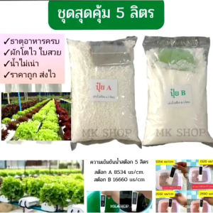 **5ลิตร**ชุดปุ๋ยผงเอบี ปุ๋ยไฮโดรโปนิกส์ ปุ๋ยAB ปุ๋ยน้ำ ปุ๋ยเอบี ปุ๋ยผักสลัด ปุ๋ยผักHydroponics สูตรปรับปรุงใหม่