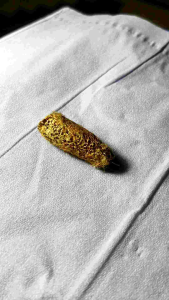 Hadiah pompong kuning ornamen fengsui