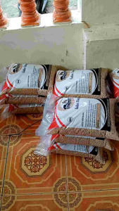 BENIH PADI UNGGUL TRISAKTI KUWALITAS SUPER KEMASAN5KG