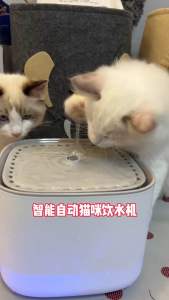 Cat water dispenser automatic filtration circulating flowing water large capacity intelligent.