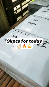 Plastic Seedling Bags 3+3×8 (5000pcs)