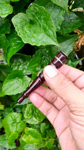 Pipa once kayu gali asem motif profil