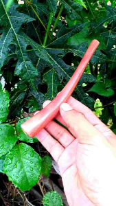 Pipa cangklong kayu stigi laut super lengkung 14cm