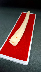 Once cangklong tulang sapi ukir naga galak INZ 57