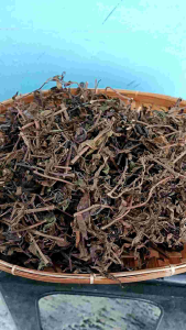 Daun kumis kucing 1 kg - kumis kucing - wedang kumis kucing - kumis kucing herbal - original kumis kucing