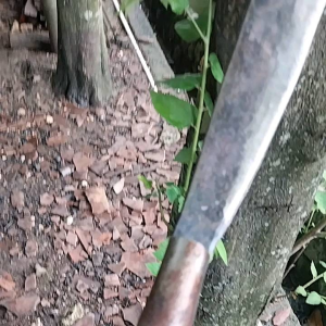 sabitt ndorit asli baja untuk serabutan b16