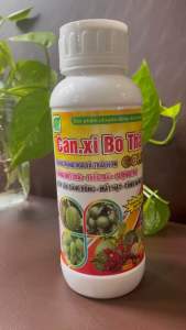 CANXI BO THÁI DẠNG SỮA MÁT 500ML và 1 viên phì trái pha 1ml cho 1 lit nước phun lúc mát trời