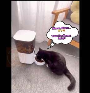 5L Pet Feeder with Camera Automatic Cat Feeder Smart Dog Food Dispenser WiFi Timing Quantitative Stainless Steel Feeding❤️SG Seller❤️