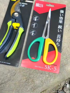 Alat Bonsai Import Gunting Dahan dan Pruning Set H4