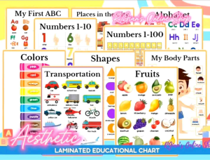 LOWEST PRICE! HIGH QUALITY A4 LAMINATED EDUCATIONAL CHARTS FOR KIDS POSTERS FAST SHIP LEARNING CHART