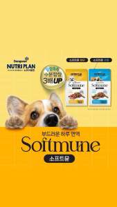 Thức ăn hạt mềm cho chó tăng miễn dịch Nutriplan Softmune Immune hỗ trợ xương khớp và dưỡng dalông