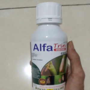 ALFATRIN 650sc isi 500 ML Pembasmi Hama ulat Sundep wereng Coklat