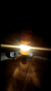 ARTEMIA SUPREME PLUS 50 GRAM