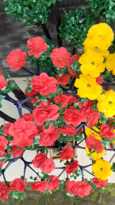 Mengenal Bunga Hias & Bonsai Bulat 1 Meter: Desain Taman Miniatur & Bunga Sudut Ruangan