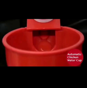 Automatic Chicken Waterer Bowl Kit - Red and Yellow Refillable Water Cups for Farm Coop Poultry - 9.27cm Diameter - Customer Photos