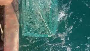 ไอ้โง่ดักกุ้ง ไซดักกุ้ง ตัวใหญ่ ขอบสี่เหลี่ยม 30x45 เซ็น ยาว 8 เมตร ตาอวนถี่ 1.5 เซ็น 📌 รุ่นใหม่ลวดใหญ่