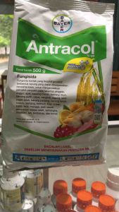 Antracol 70wp 500gram Fungisida Kontak Pengendali Jamur