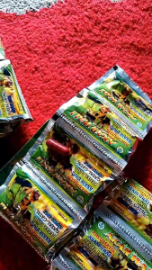 JH3 COD akar wali Kapsul Cap jempol JAMU OBAT TRADISIONAL RHEUMATIK ASAM URAT PEGEL LINU GATAL-GATAL SAKIT GIGI