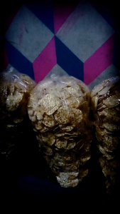 makanan ringan keripik tempe