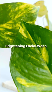 1 botol sabea brightening facial wash pembersih wajah mencerahkan wajah