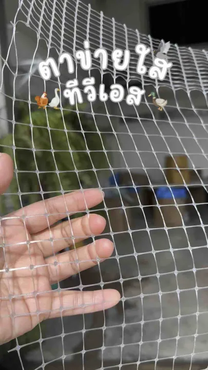 ตาข่ายล้อมไก่พลาสติกสีใส-เขียว หนา เหนียว ทนทาน มี UV