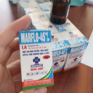 MARFLO 45% (100ml) marphavet_hen suyễn lepto thương hàn cho vật nuôi