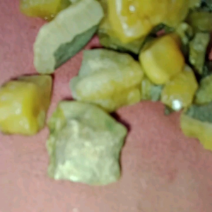 batu mani gajah purba