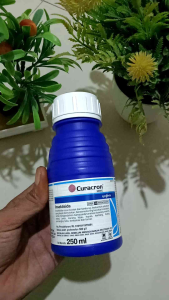 CURACRON 500EC INSEKTISIDA PEMBASMI HAMA DAN KUTU PUTIH