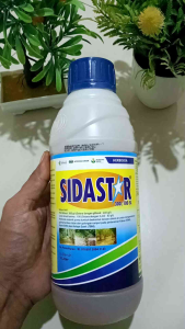 Herbisida SIDASTAR 1L Sasaran Gulma Daun Sempit&Lebar