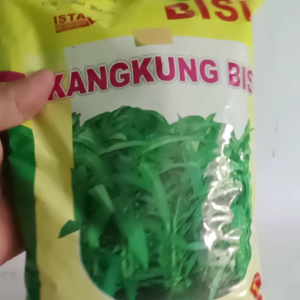Benih Kangkung Darat Isi Kemasan 1kg Cap Kapal Terbang