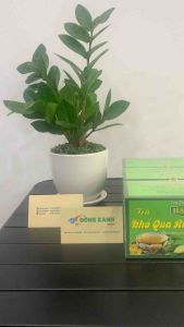 Trà Khổ Qua Rừng ( 20 túi lọc ) - HANY