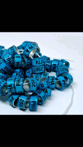 Half ring PHA 2025 Pigeon Ring Singsing ng Kalapati