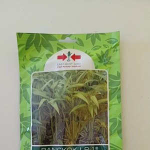 Benih Unggul Kangkung Bangkok LP-1 isi 1.500 Butir Cap Panah Merah