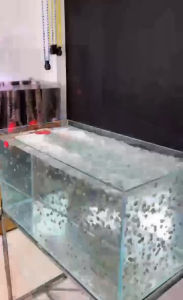 Máy Tạo Sóng Thổi Luồng Baoyu K600 - Máy Thổi Luồng Cho Bể Cá Cảnh