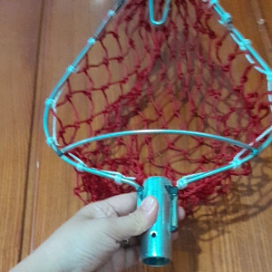 vợt hái trái cây.hái xoài bơ...