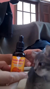 YummyPuff Vitamin Kucing – Meningkatkan Nafsu Makan kucing Bulu lebat Badan Sehat – 30ml