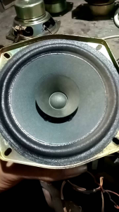 Spiker Copotan Politron 4.5 & Wofer Spiker Panjang 12 cm