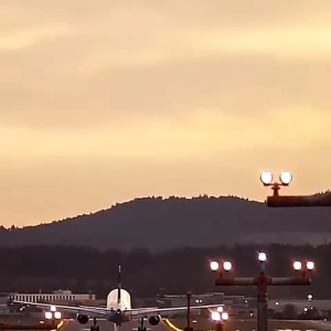 LWF2020 Cangkir Portable atau Cangkir Obat Kumur Perjalanan / Kotak Penyimpanan Pasta Gigi Sikat Gigi untuk Bepergian