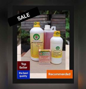 SUMO8 Cair A&B + Pupuk Merah Campuran + Top Kering: Peningkat Bobot & Penghambat Akar Tauge