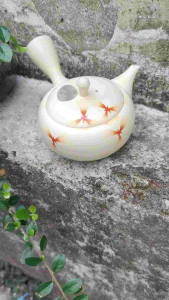 Ấm tokoname lọc sasemi rót tokoname