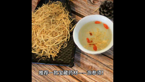 [OASIS] Ginseng Root 泡参须 30g Herb 参须 泡参须